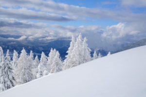 Sneeuwschoenwandelen Slovenië