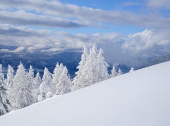 Snowshoeing slovenia