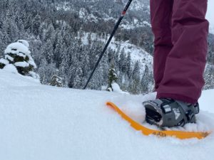 snowshoeïng slovenia